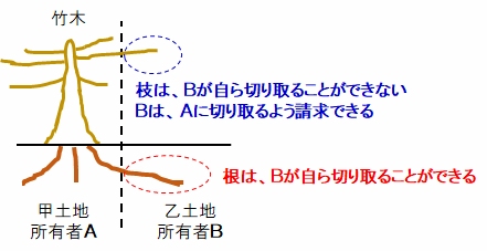竹木の枝・根の切除